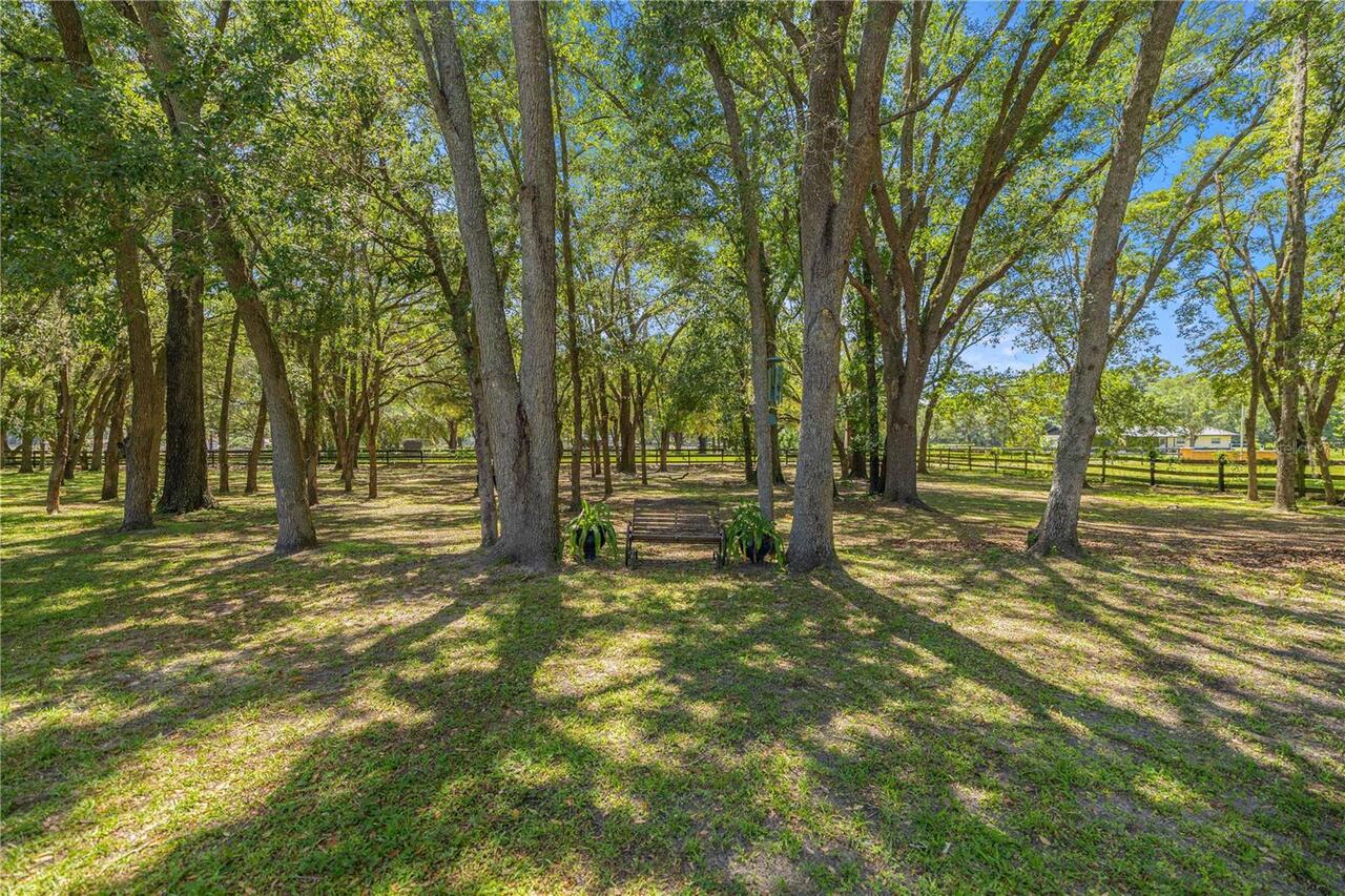 Listing Photo 45