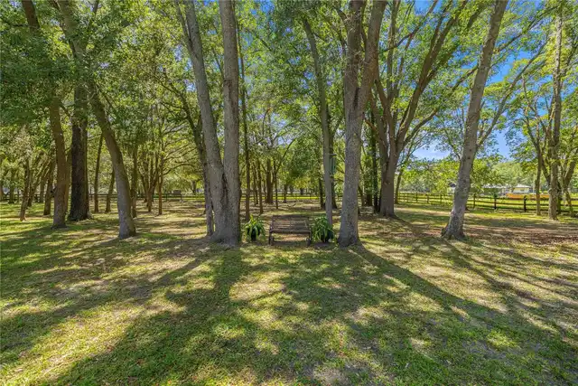 Listing Photo 45