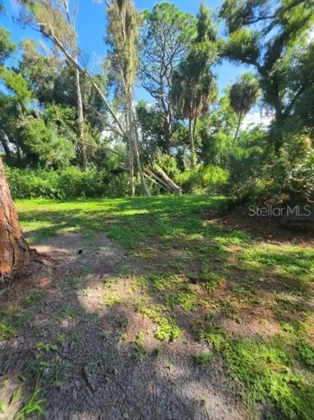 Listing Photo 18