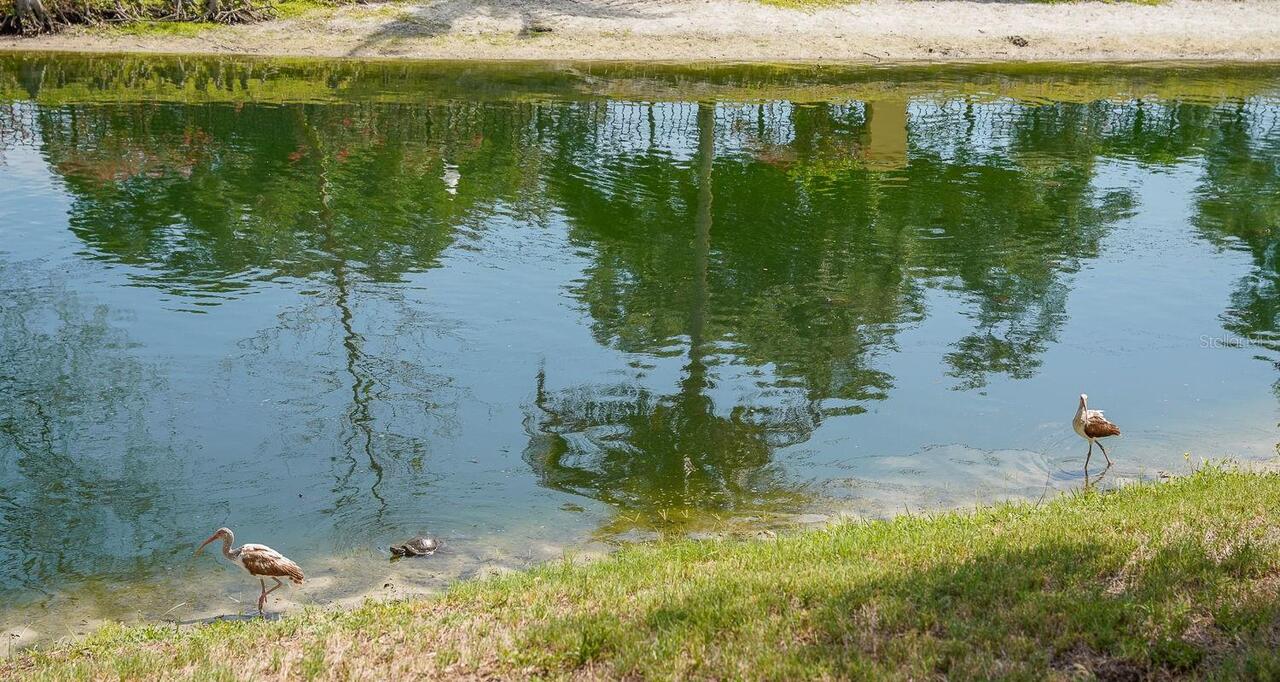 Listing Photo 67