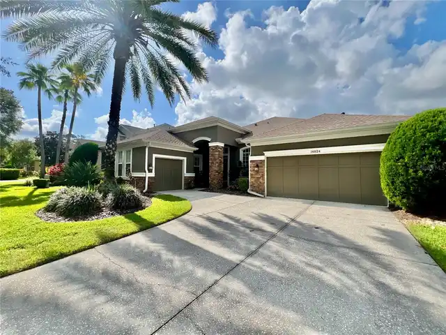 Tampa Real Estate