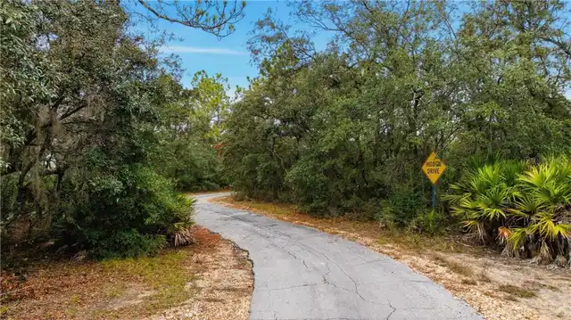 Listing Photo 9