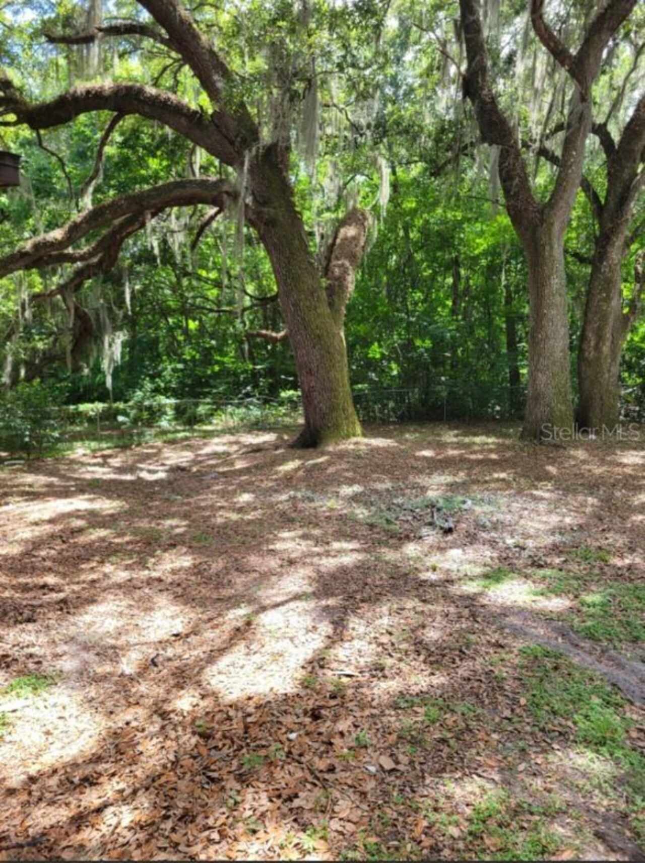 Listing Photo 18