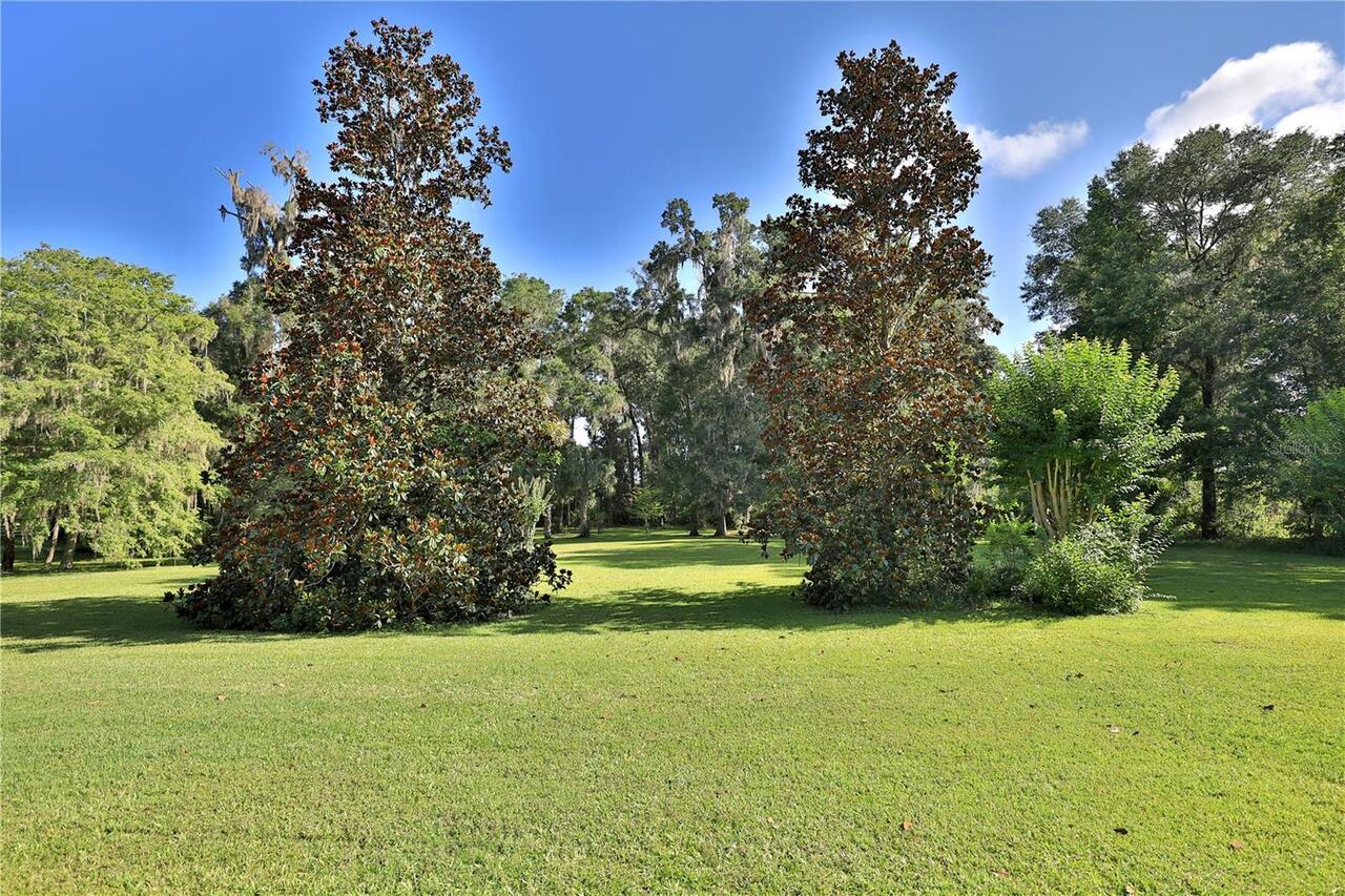 Listing Photo 43