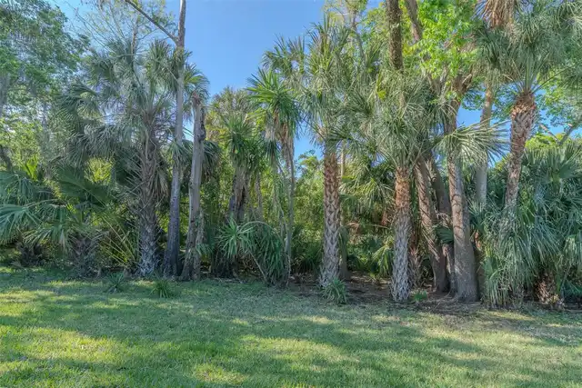 Listing Photo 34