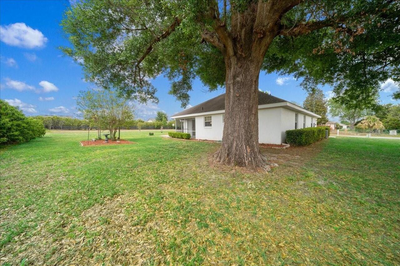 Listing Photo 41