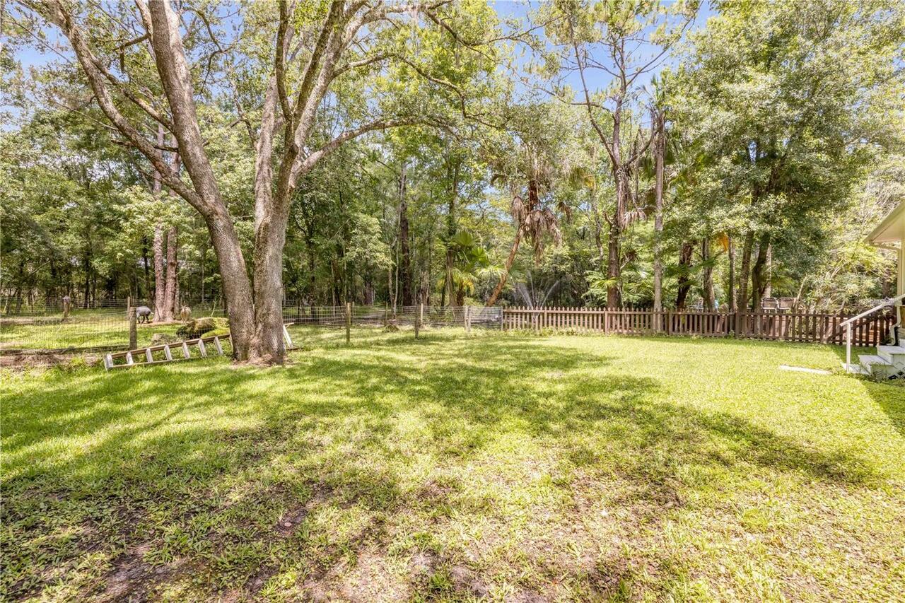 Listing Photo 28