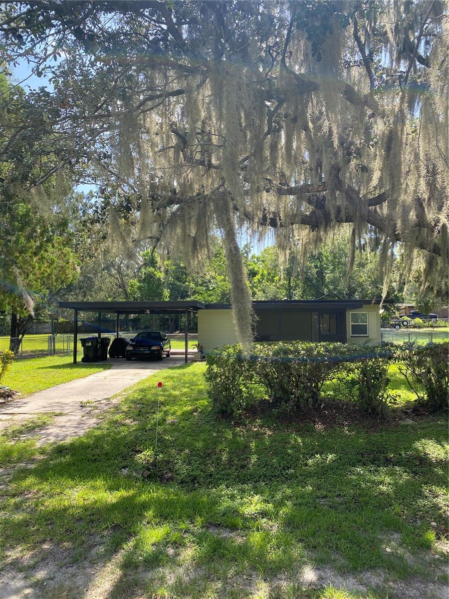 Orlando Real Estate