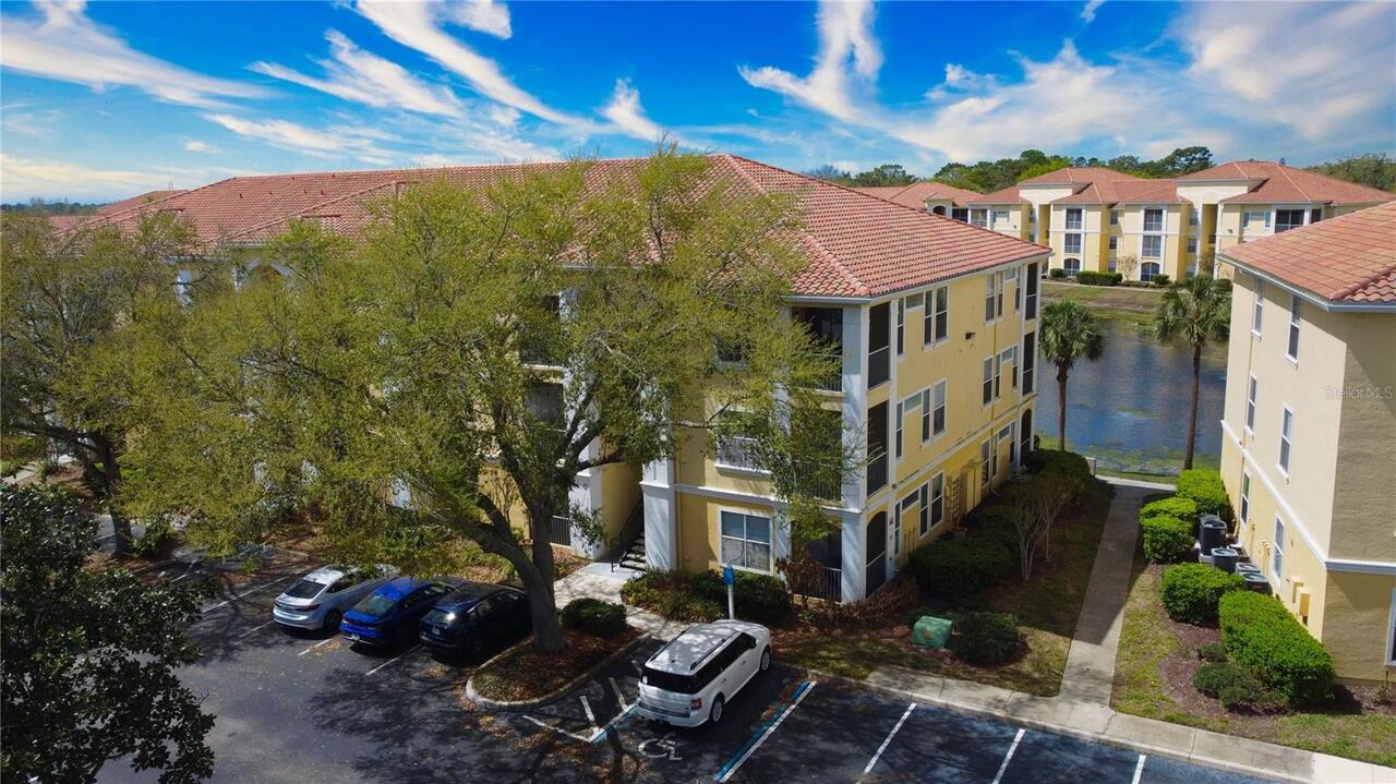 Maitland Real Estate