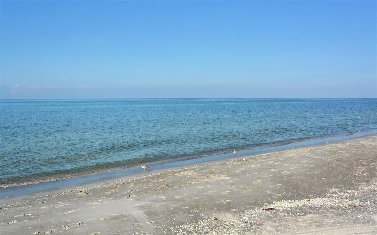 Listing Photo 57
