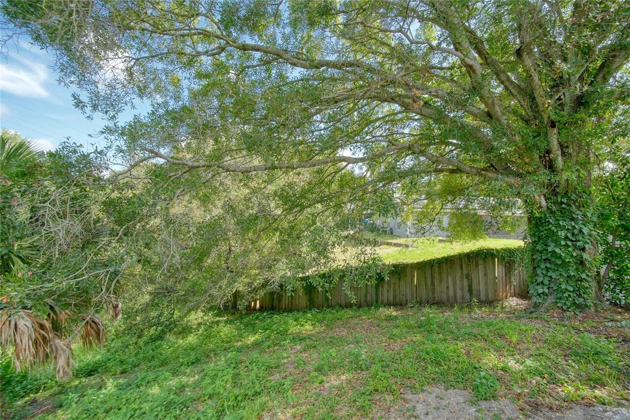 Listing Photo 18