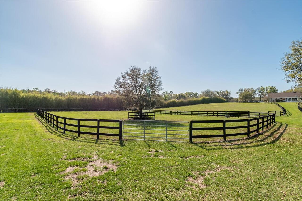 Listing Photo 81
