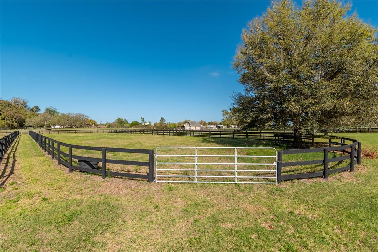 Listing Photo 82