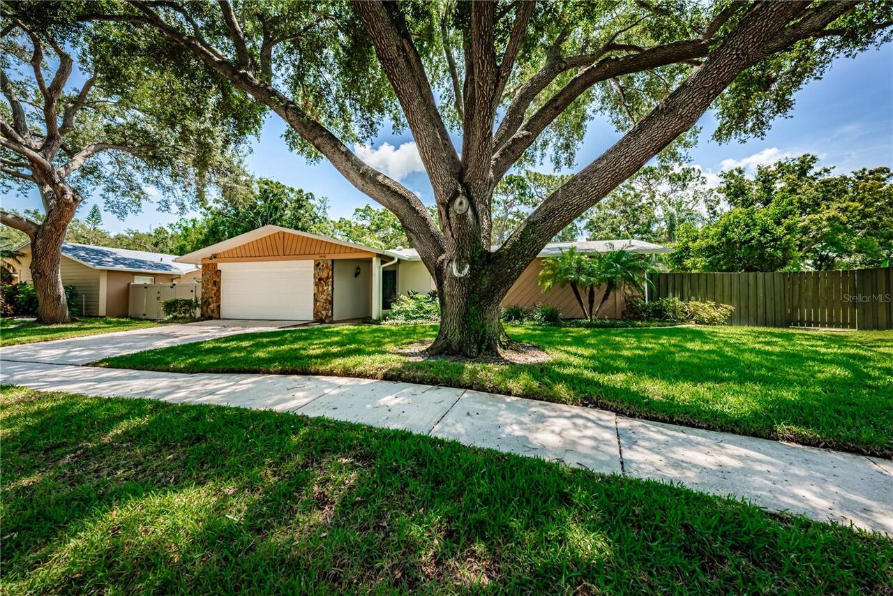 Listing Photo 33