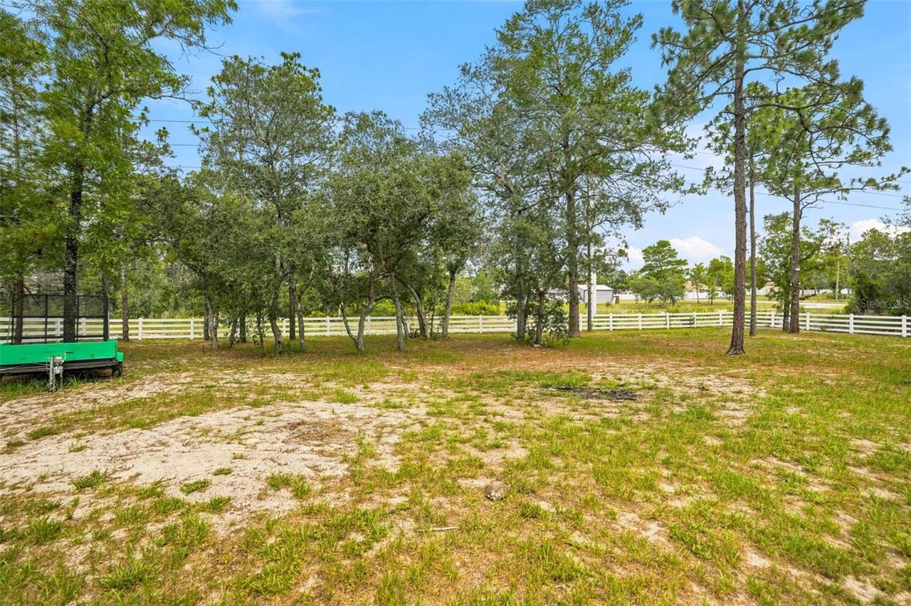 Listing Photo 90