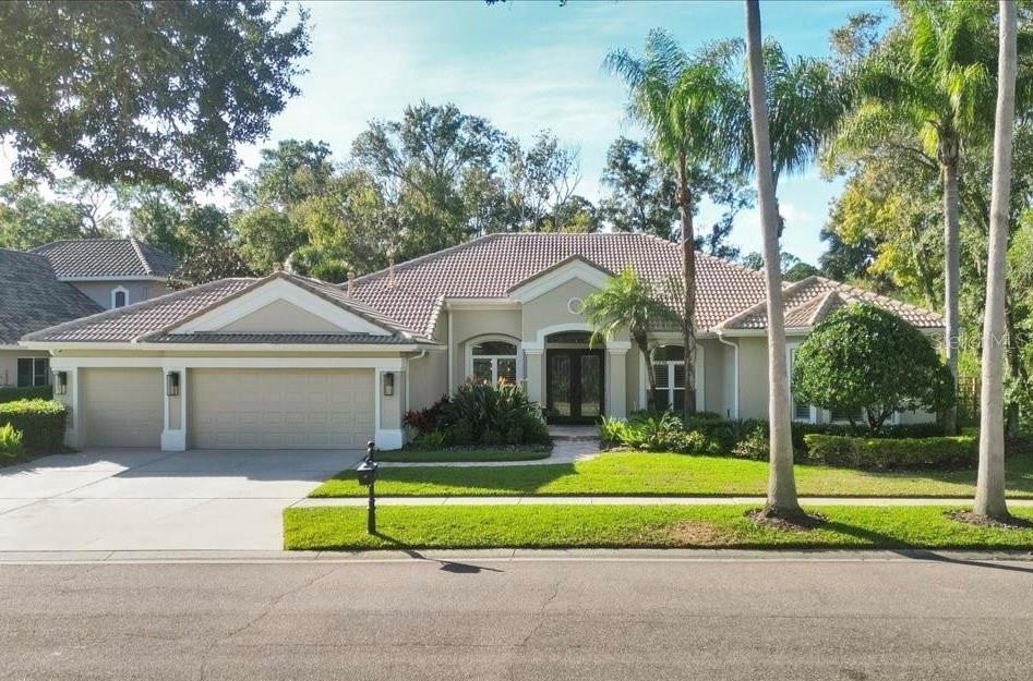 Tampa Real Estate