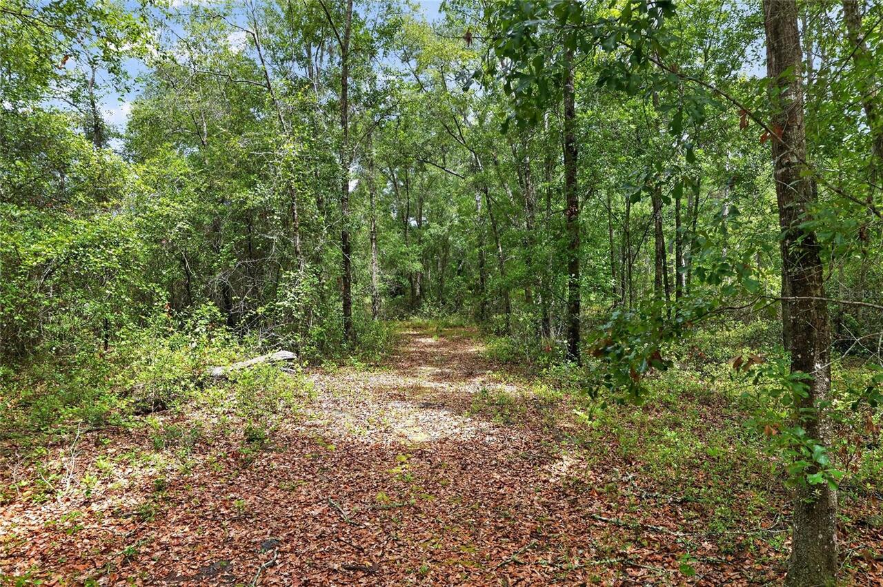 Listing Photo 67