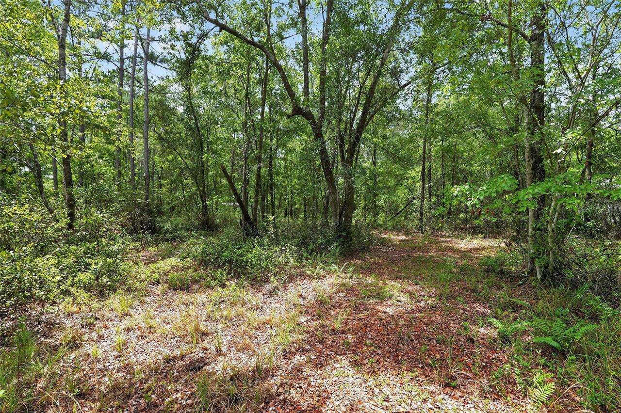 Listing Photo 71