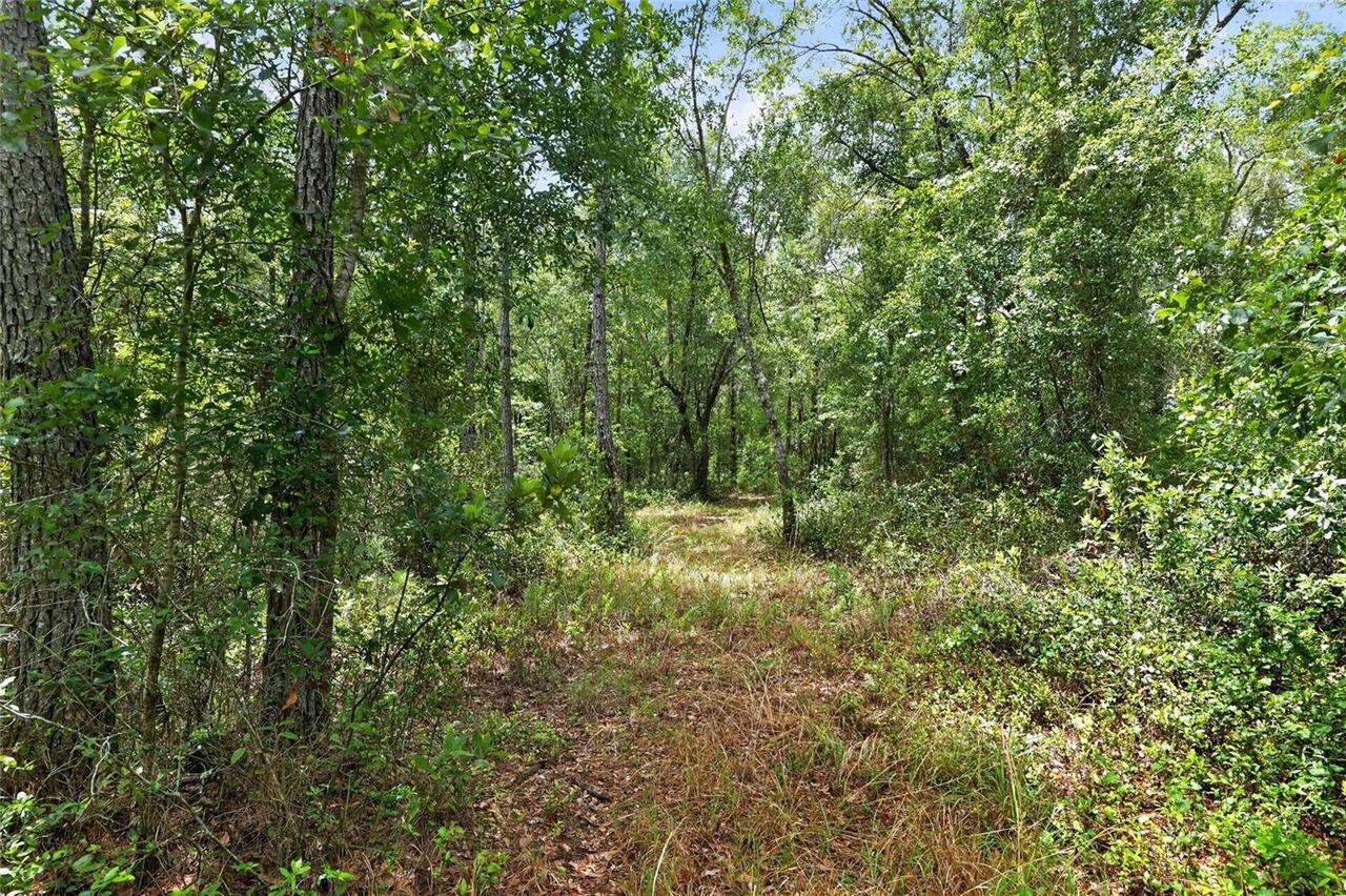 Listing Photo 74