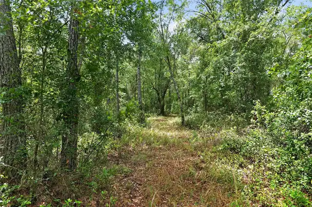 Listing Photo 74