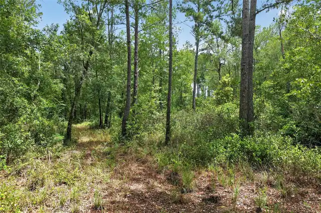 Listing Photo 76