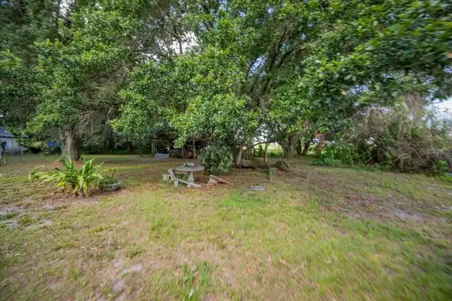 Listing Photo 17