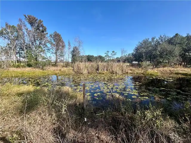 Listing Photo 11