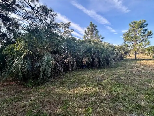 Listing Photo 15