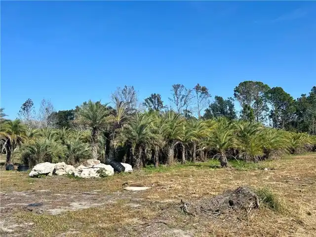 Listing Photo 17