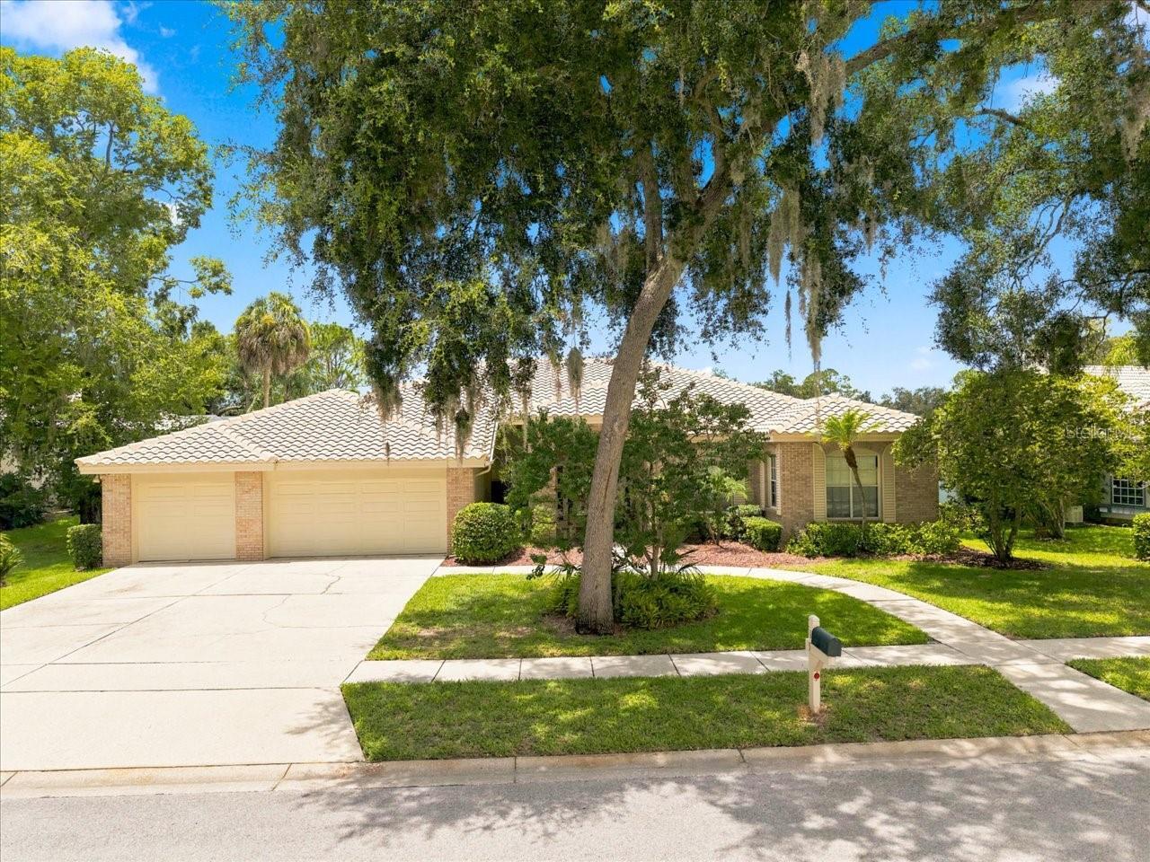 Oldsmar Real Estate