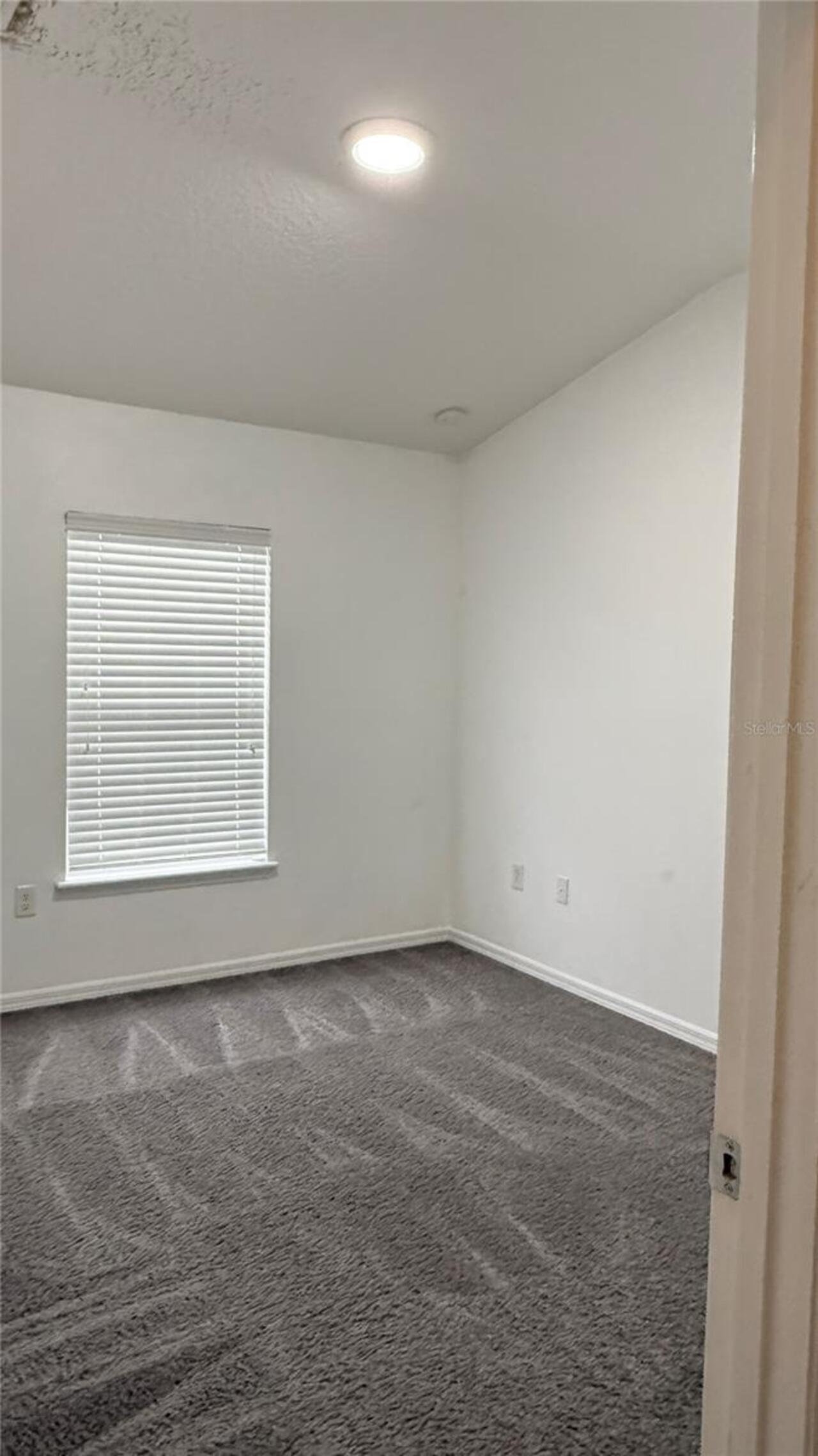 Listing Photo 56