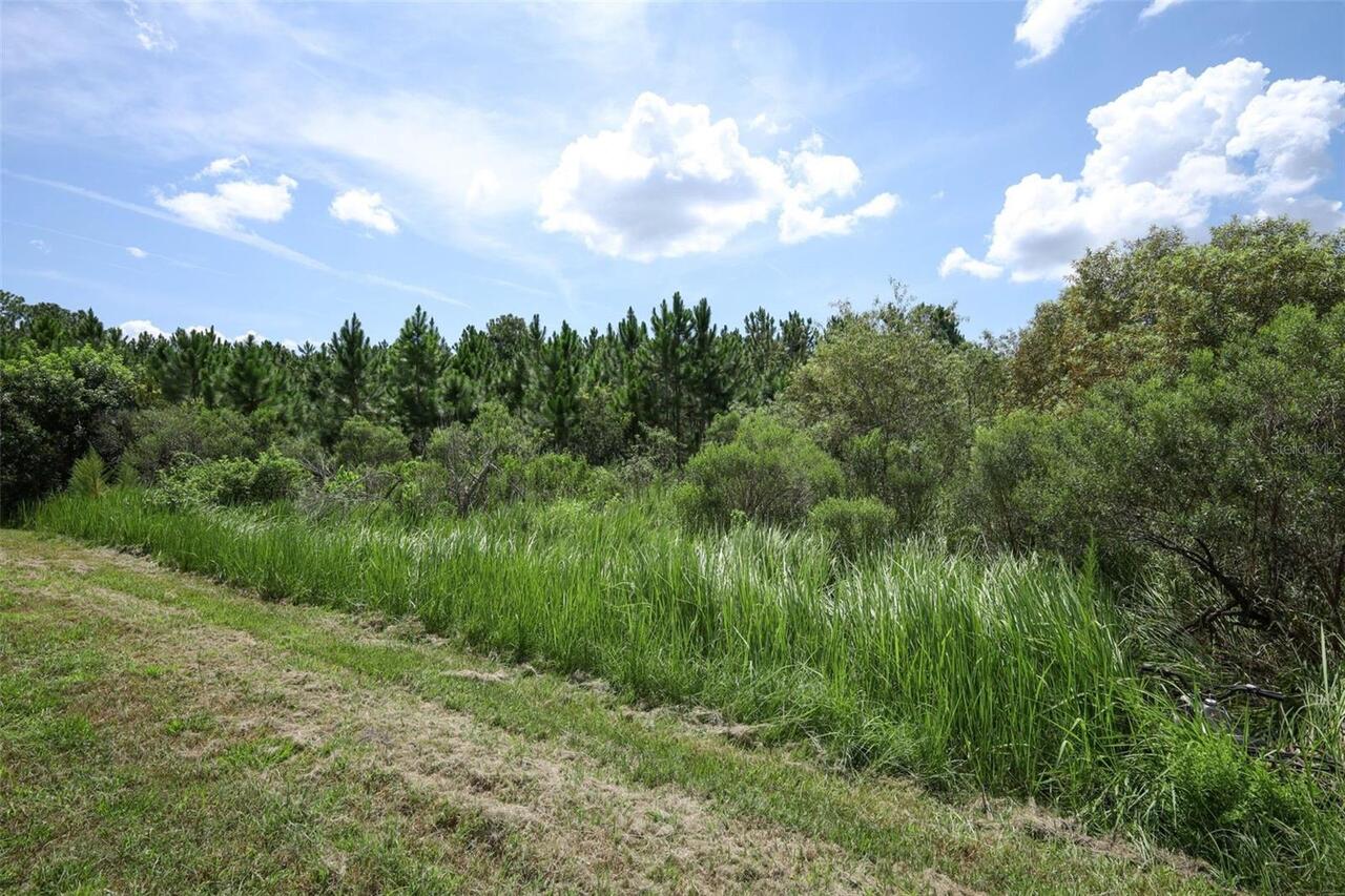 Listing Photo 57