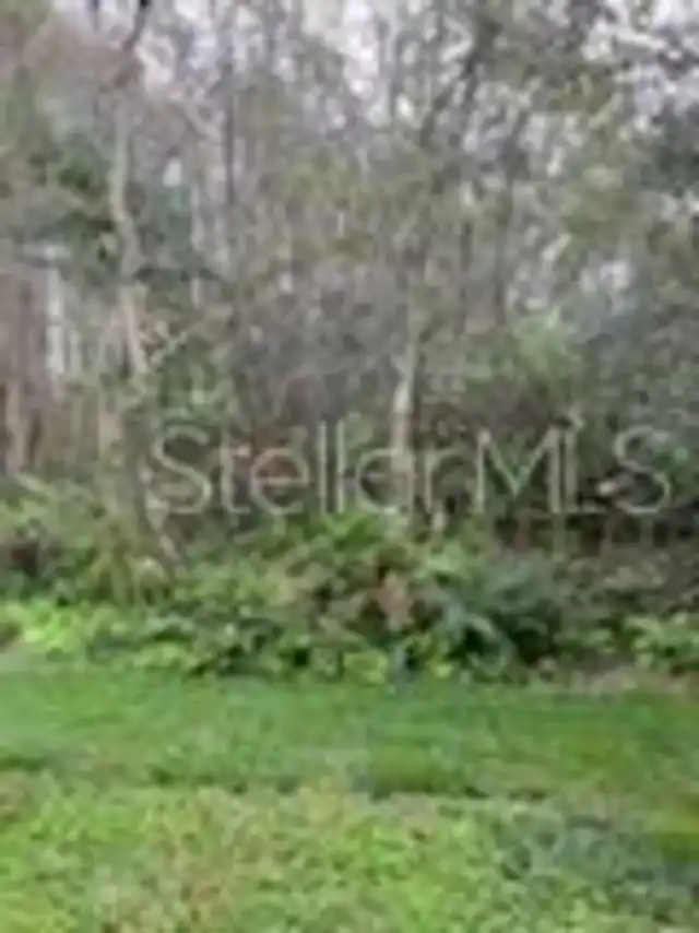 Listing Photo 32