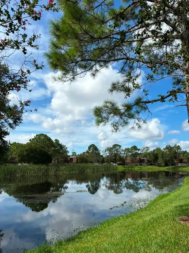 Listing Photo 23
