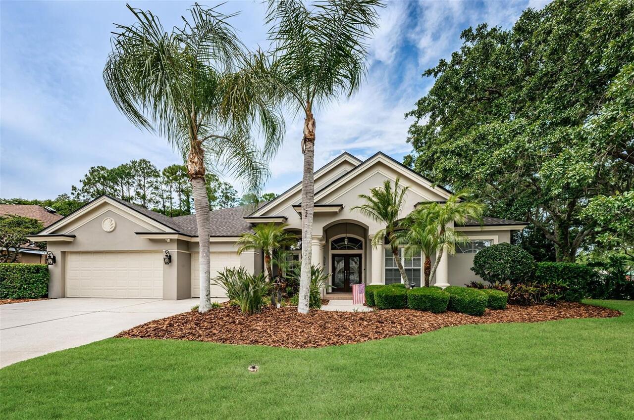 Palm Harbor Real Estate