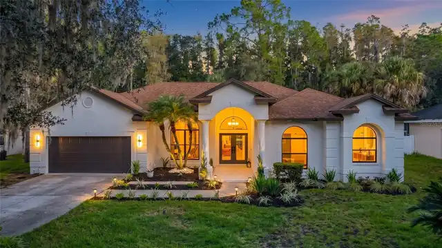 Tampa Real Estate