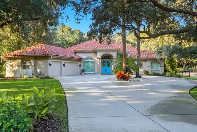 Hernando Real Estate