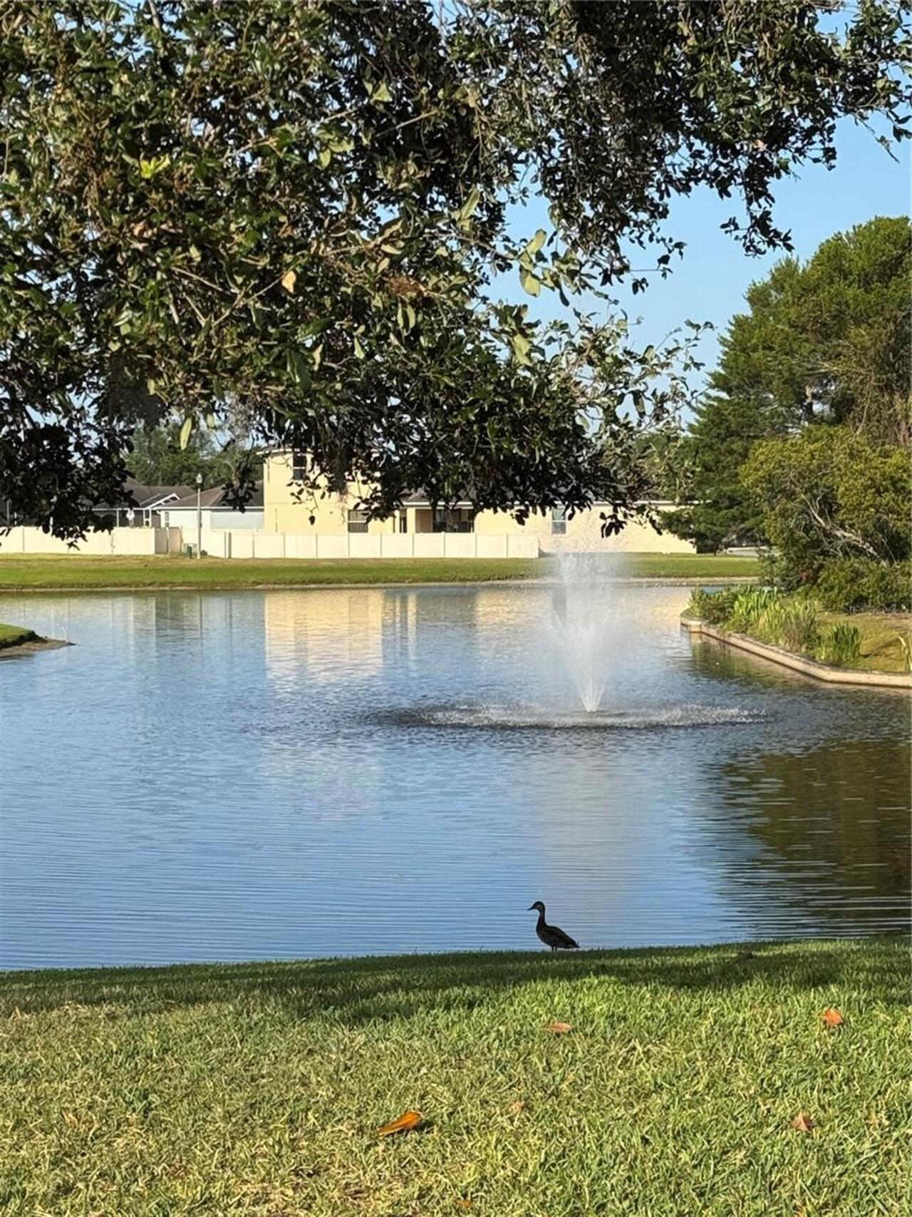 Listing Photo 76