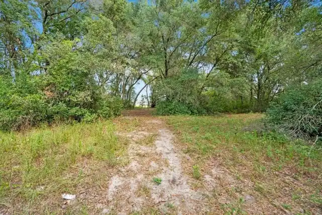 Listing Photo 28