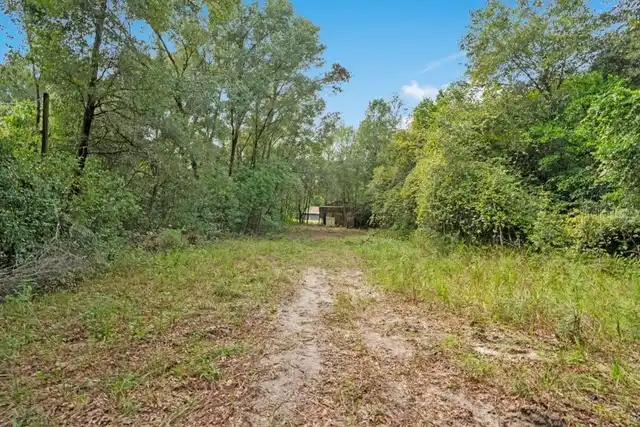 Listing Photo 29