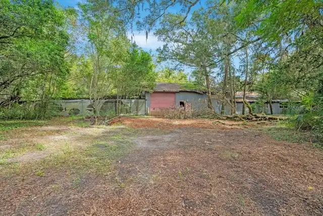 Listing Photo 34