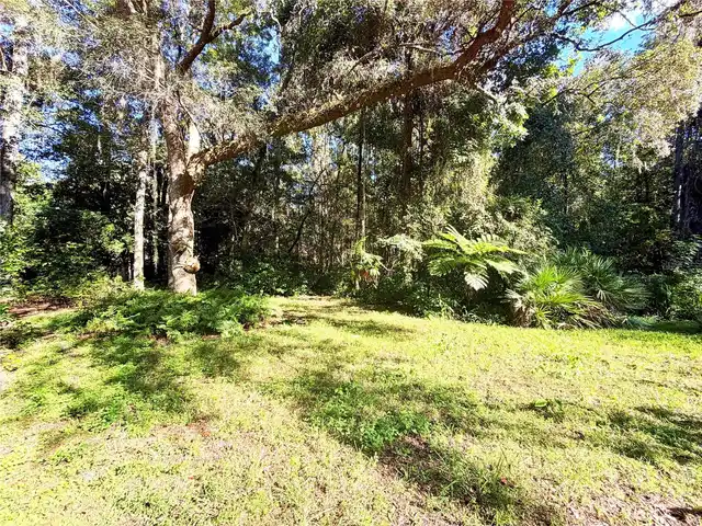 Listing Photo 25