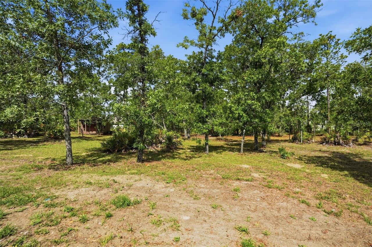 Listing Photo 59