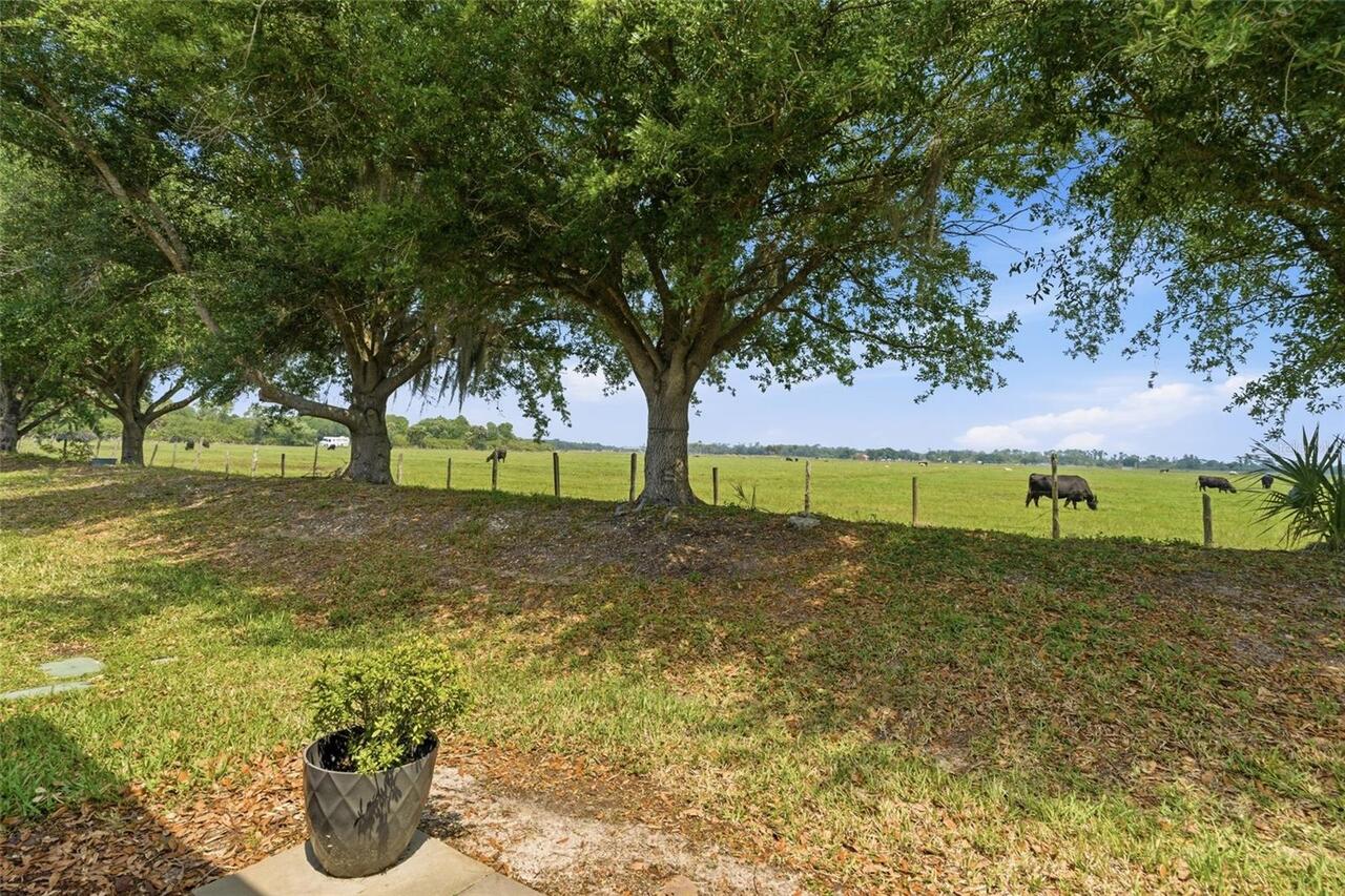 Listing Photo 38