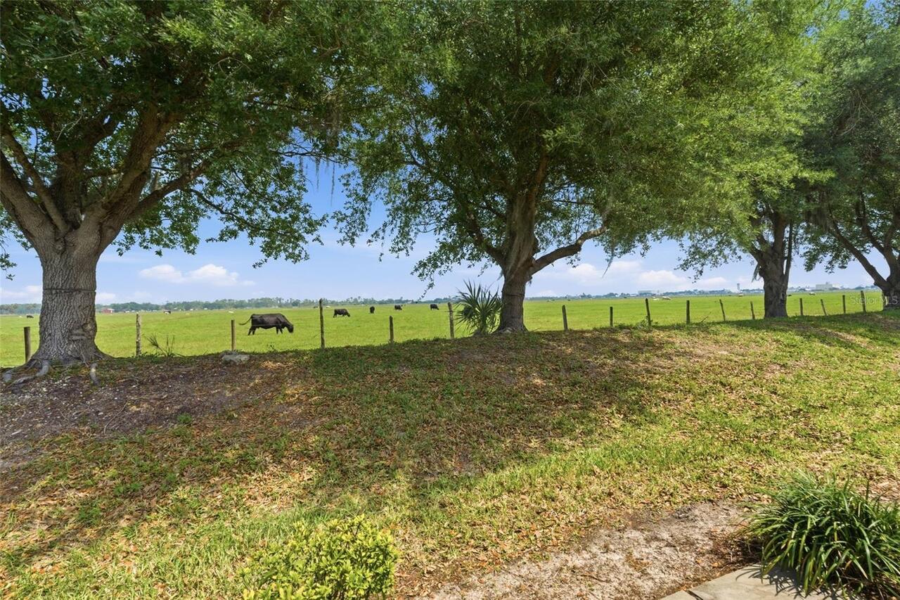 Listing Photo 39