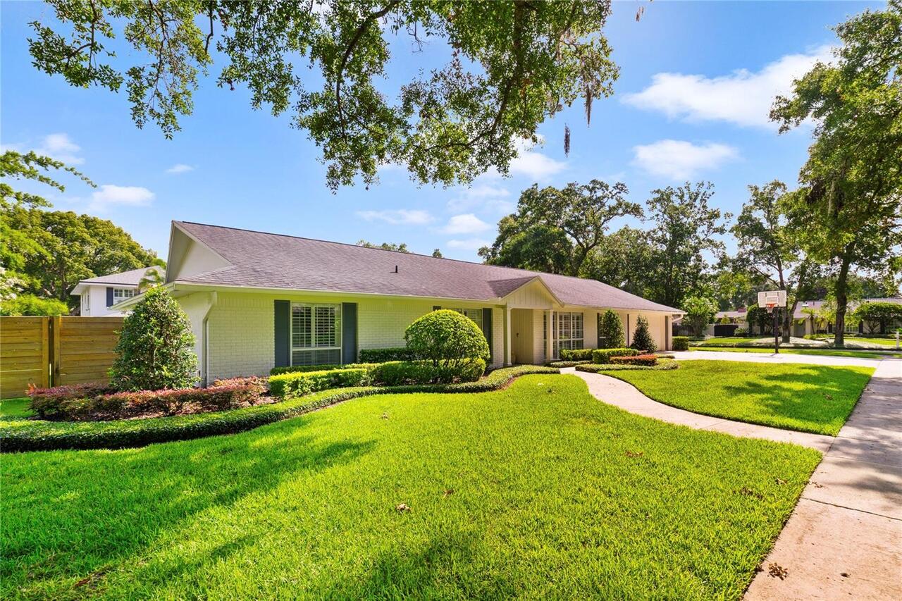Maitland Real Estate