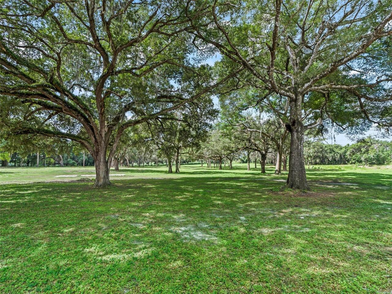 Listing Photo 59