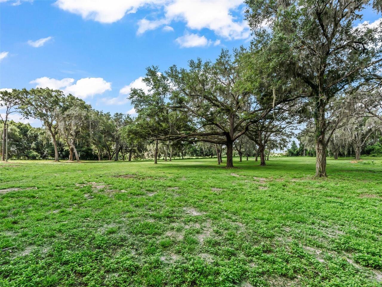 Listing Photo 61