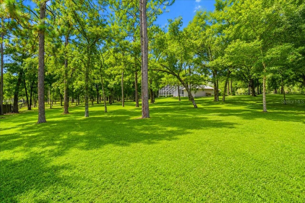 Listing Photo 58