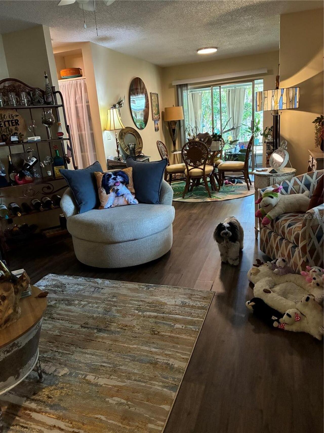 Mount Dora Real Estate
